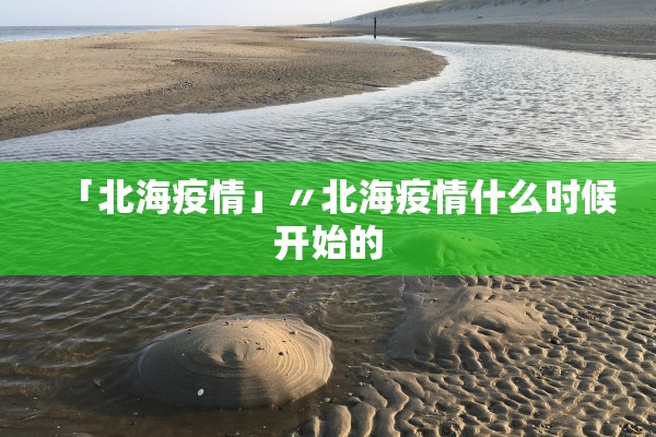「北海疫情」〃北海疫情什么时候开始的