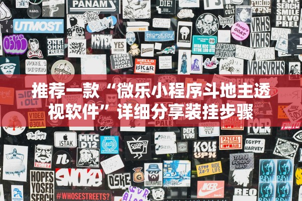 推荐一款“微乐小程序斗地主透视软件”详细分享装挂步骤