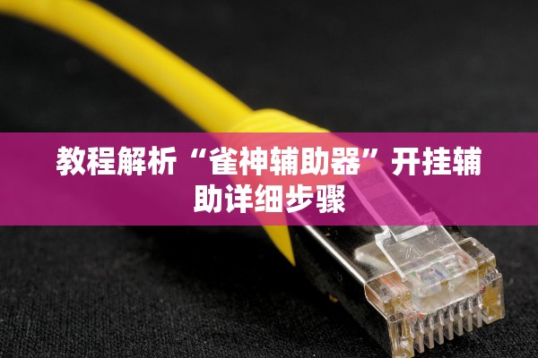 教程解析“雀神辅助器”开挂辅助详细步骤