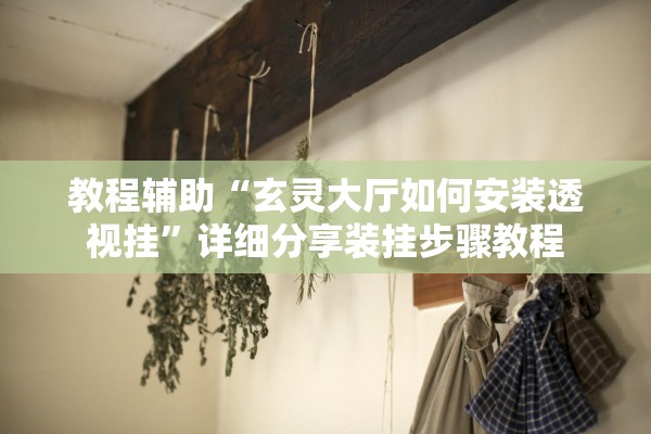 教程辅助“玄灵大厅如何安装透视挂”详细分享装挂步骤教程