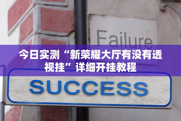 今日实测“新荣耀大厅有没有透视挂”详细开挂教程