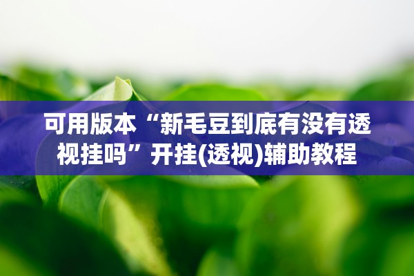 可用版本“新毛豆到底有没有透视挂吗”开挂(透视)辅助教程