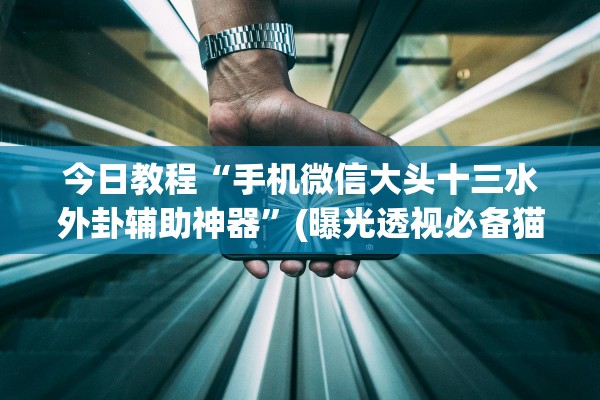 今日教程“手机微信大头十三水外卦辅助神器”(曝光透视必备猫腻)