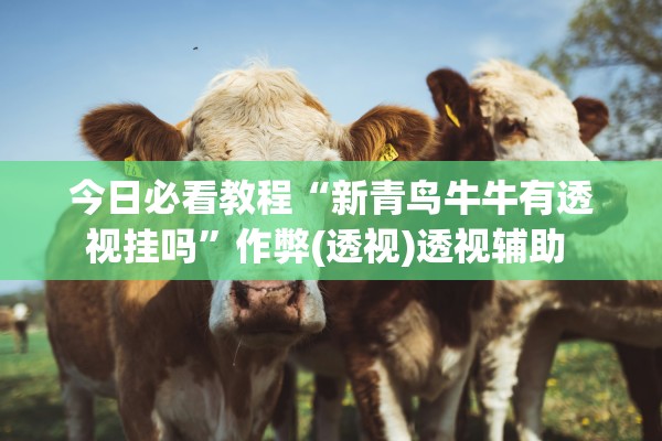 今日必看教程“新青鸟牛牛有透视挂吗	”作弊(透视)透视辅助 