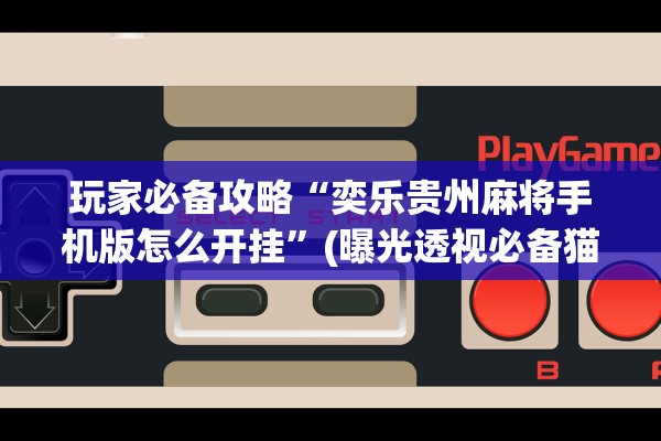 玩家必备攻略“奕乐贵州麻将手机版怎么开挂”(曝光透视必备猫腻)
