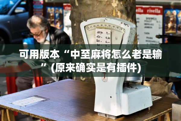 可用版本“中至麻将怎么老是输”(原来确实是有插件)