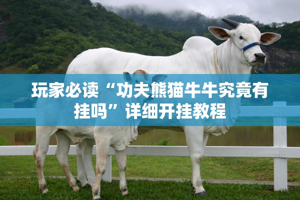 玩家必读“功夫熊猫牛牛究竟有挂吗	”详细开挂教程