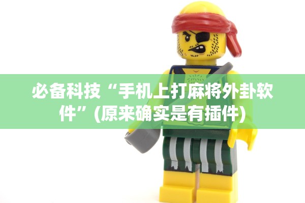 必备科技“手机上打麻将外卦软件”(原来确实是有插件)