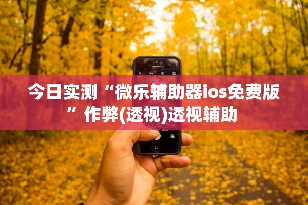 今日实测“微乐辅助器ios免费版”作弊(透视)透视辅助 