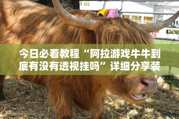 今日必看教程“阿拉游戏牛牛到底有没有透视挂吗”详细分享装挂步骤教程