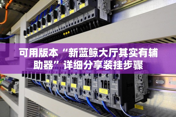 可用版本“新蓝鲸大厅其实有辅助器”详细分享装挂步骤