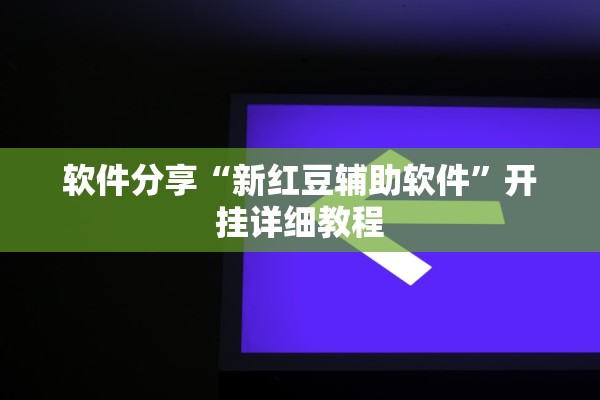 软件分享“新红豆辅助软件”开挂详细教程
