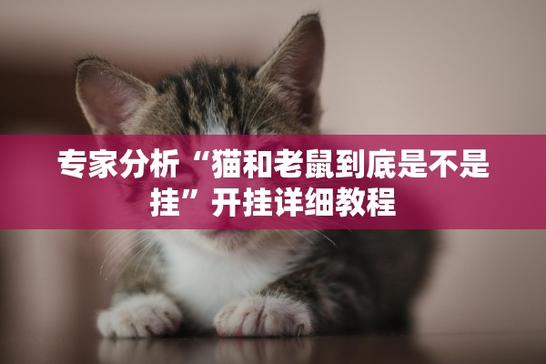 专家分析“猫和老鼠到底是不是挂”开挂详细教程