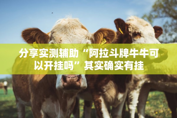 分享实测辅助“阿拉斗牌牛牛可以开挂吗”其实确实有挂