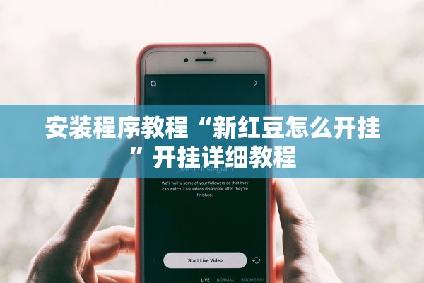 安装程序教程“新红豆怎么开挂”开挂详细教程