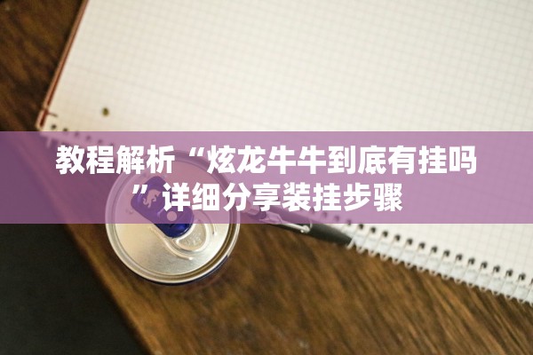 教程解析“炫龙牛牛到底有挂吗”详细分享装挂步骤