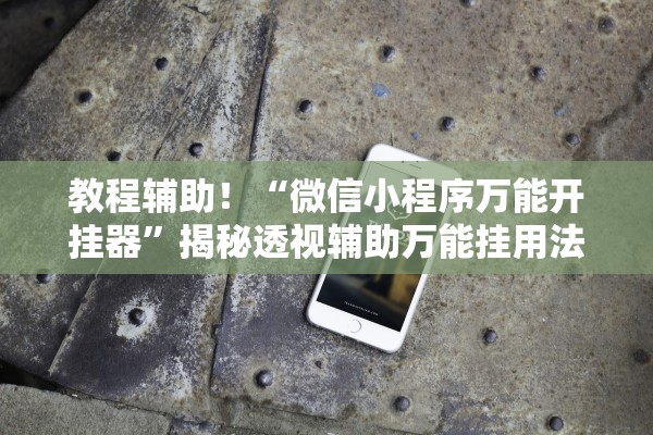 教程辅助！“微信小程序万能开挂器”揭秘透视辅助万能挂用法