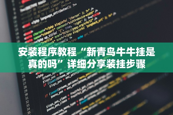 安装程序教程“新青鸟牛牛挂是真的吗”详细分享装挂步骤