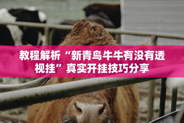 教程解析“新青鸟牛牛有没有透视挂”真实开挂技巧分享