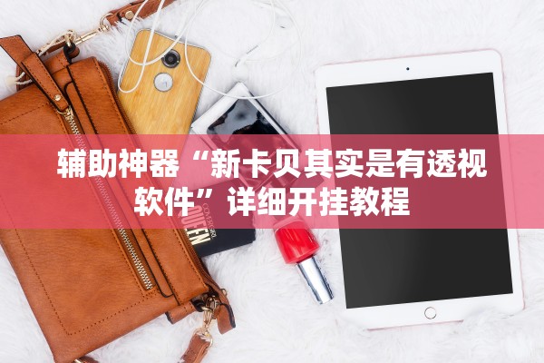 辅助神器“新卡贝其实是有透视软件”详细开挂教程