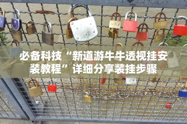必备科技“新道游牛牛透视挂安装教程”详细分享装挂步骤