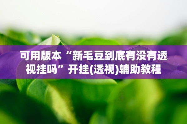 可用版本“新毛豆到底有没有透视挂吗”开挂(透视)辅助教程