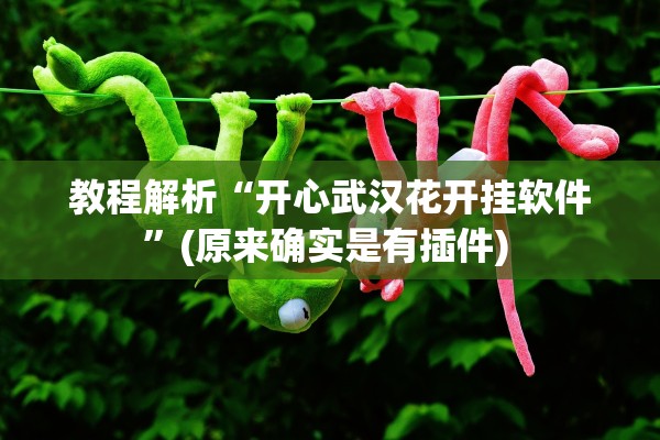 教程解析“开心武汉花开挂软件”(原来确实是有插件) 