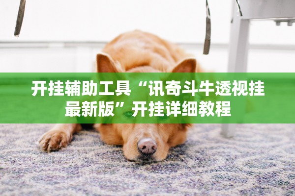 开挂辅助工具“讯奇斗牛透视挂最新版”开挂详细教程