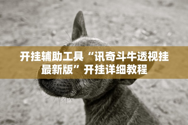 开挂辅助工具“讯奇斗牛透视挂最新版	”开挂详细教程