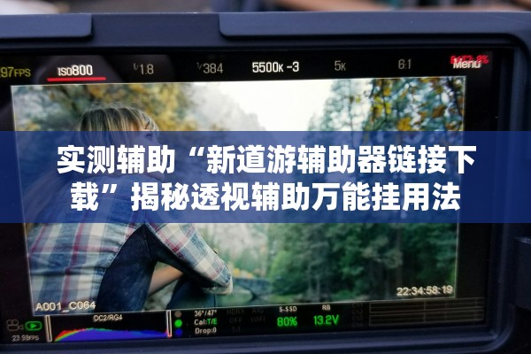 实测辅助“新道游辅助器链接下载”揭秘透视辅助万能挂用法