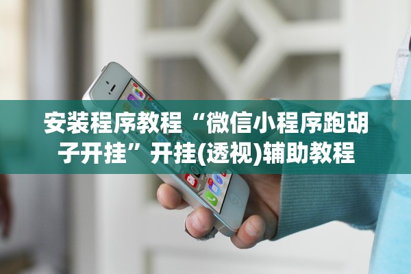 安装程序教程“微信小程序跑胡子开挂”开挂(透视)辅助教程