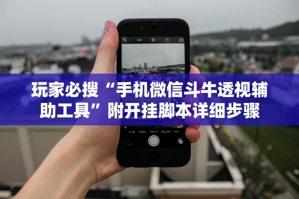 玩家必搜“手机微信斗牛透视辅助工具”附开挂脚本详细步骤