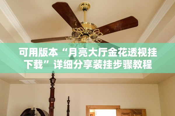 可用版本“月亮大厅金花透视挂下载”详细分享装挂步骤教程
