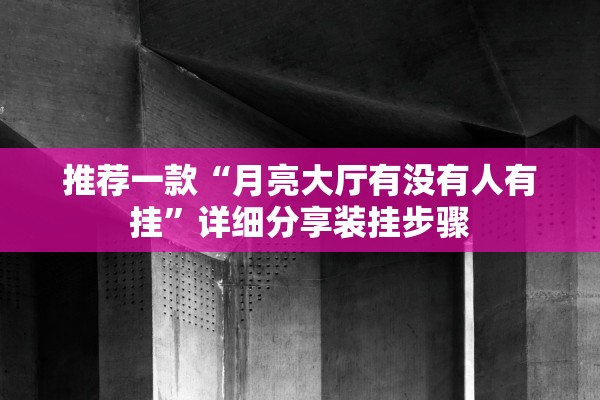 推荐一款“月亮大厅有没有人有挂”详细分享装挂步骤