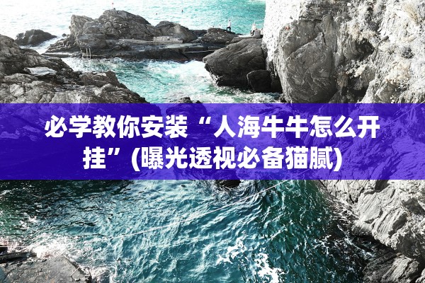 必学教你安装“人海牛牛怎么开挂	”(曝光透视必备猫腻)