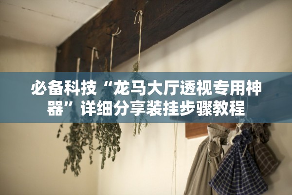 必备科技“龙马大厅透视专用神器”详细分享装挂步骤教程