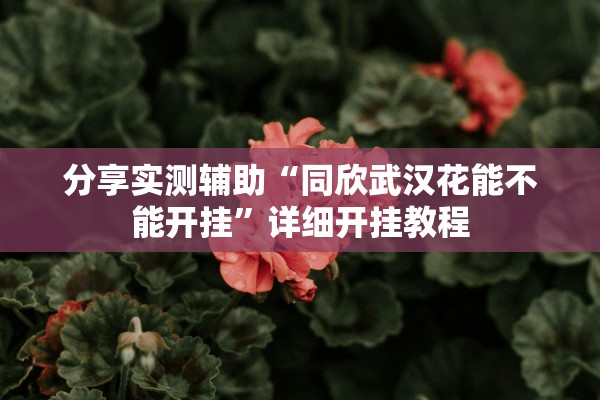分享实测辅助“同欣武汉花能不能开挂	”详细开挂教程