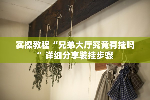 实操教程“兄弟大厅究竟有挂吗”详细分享装挂步骤