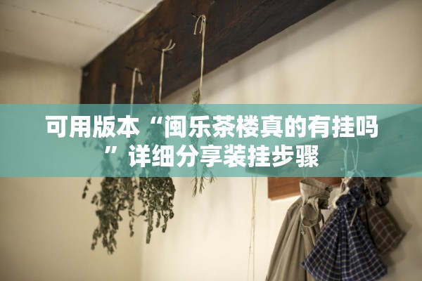 可用版本“闽乐茶楼真的有挂吗”详细分享装挂步骤