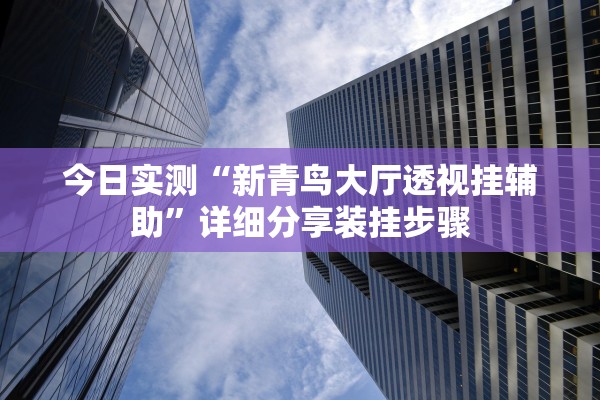 今日实测“新青鸟大厅透视挂辅助”详细分享装挂步骤