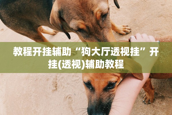教程开挂辅助“狗大厅透视挂”开挂(透视)辅助教程