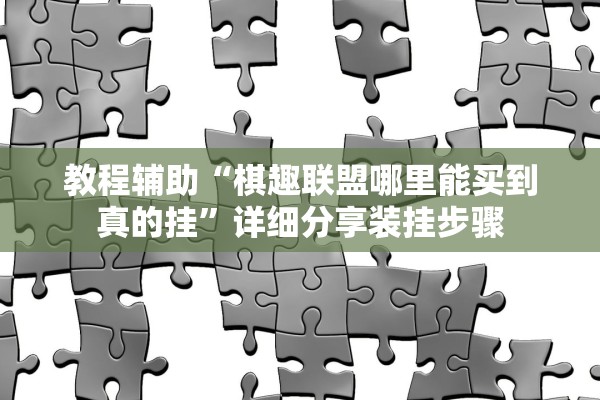 教程辅助“棋趣联盟哪里能买到真的挂	”详细分享装挂步骤