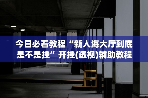 今日必看教程“新人海大厅到底是不是挂”开挂(透视)辅助教程