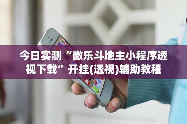 今日实测“微乐斗地主小程序透视下载”开挂(透视)辅助教程