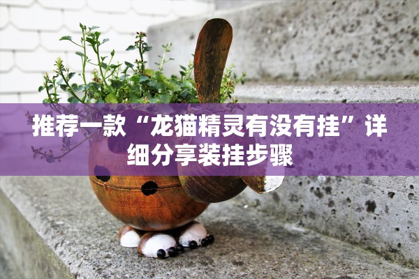 推荐一款“龙猫精灵有没有挂	”详细分享装挂步骤