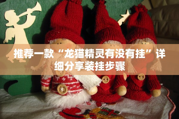 推荐一款“龙猫精灵有没有挂”详细分享装挂步骤