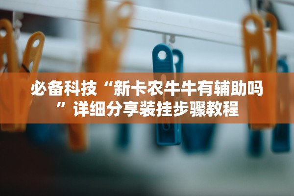 必备科技“新卡农牛牛有辅助吗”详细分享装挂步骤教程