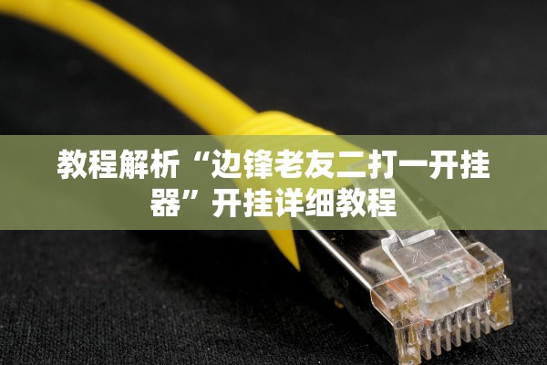 教程解析“边锋老友二打一开挂器”开挂详细教程
