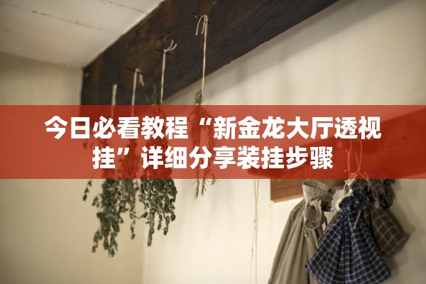 今日必看教程“新金龙大厅透视挂”详细分享装挂步骤