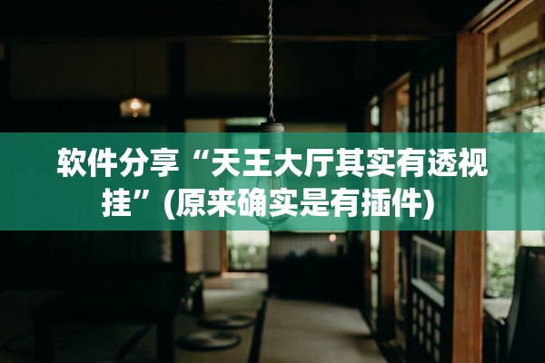软件分享“天王大厅其实有透视挂”(原来确实是有插件) 